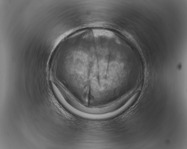 X0000116061230200912111520