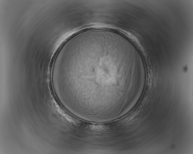 X0000116061231200912111520