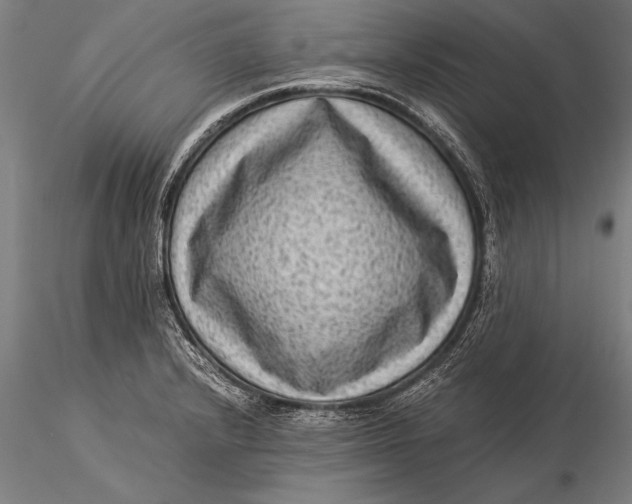 X0000116061232200912111520