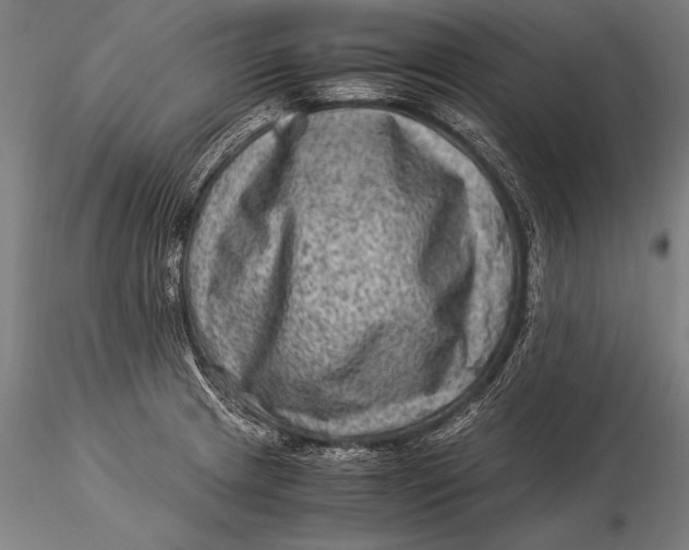 X0000116061233200912111520