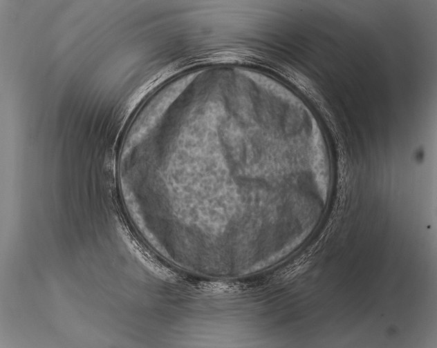 X0000116061234200912111520