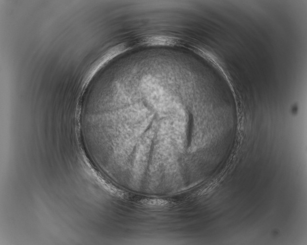 X0000116061235200912111520