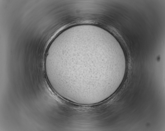 X0000116061236200912111520