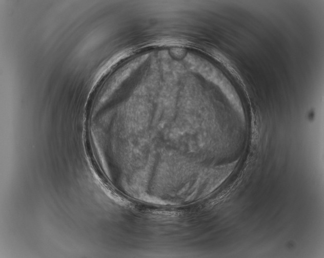 X0000116061237200912111520