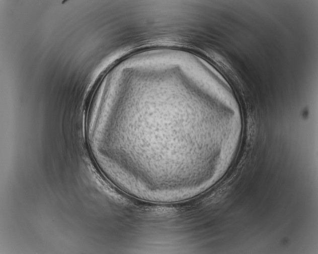 X0000116061238200912111520