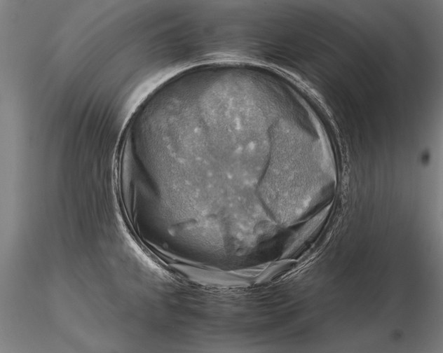 X0000116061239200912111520