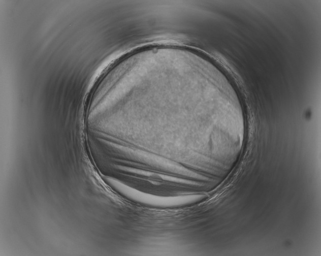 X0000116061240200912111520