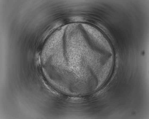 X0000116061241200912111520