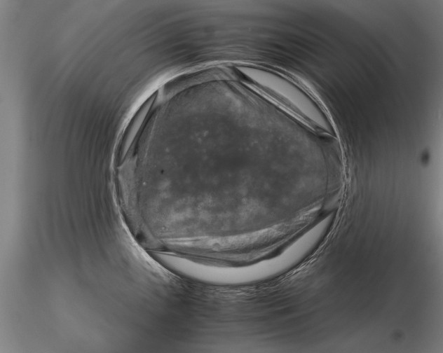 X0000116061243200912111520