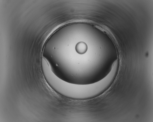 X0000116061244200912111520