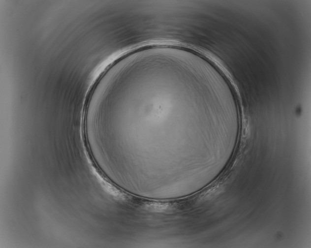 X0000116061245200912111520