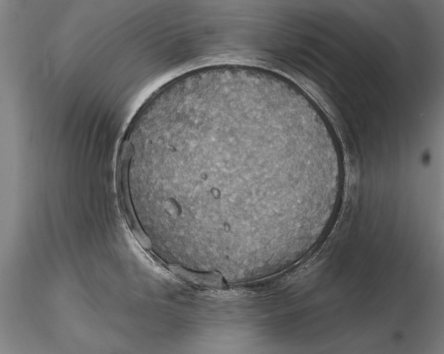 X0000116061246200912111520