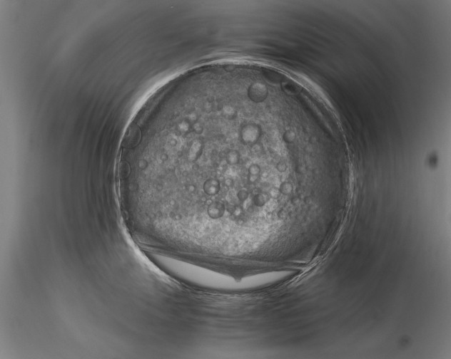 X0000116061247200912111520