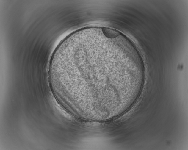 X0000116061248200912111520