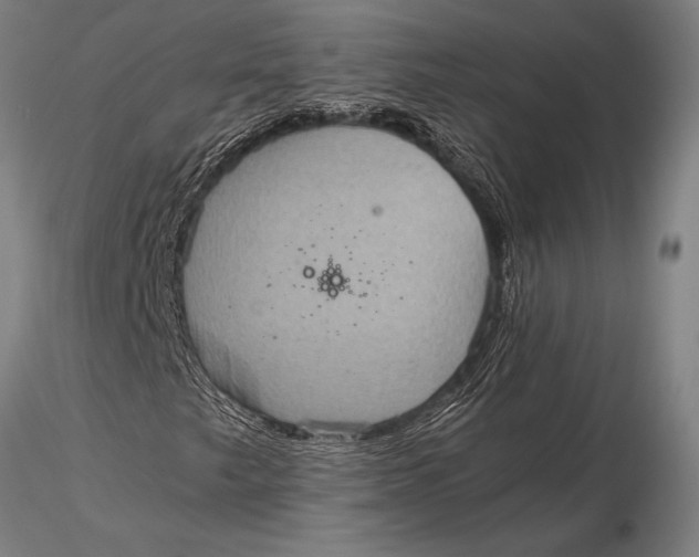 X0000116061249200912111519