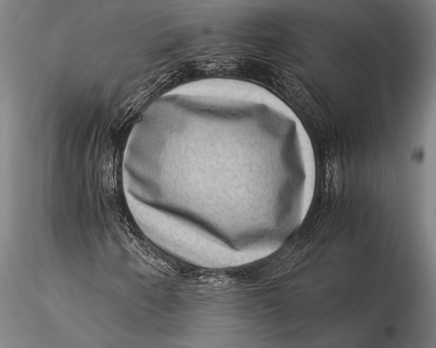 X0000116061250200912111519