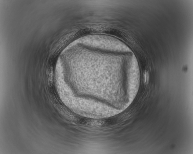 X0000116061251200912111519