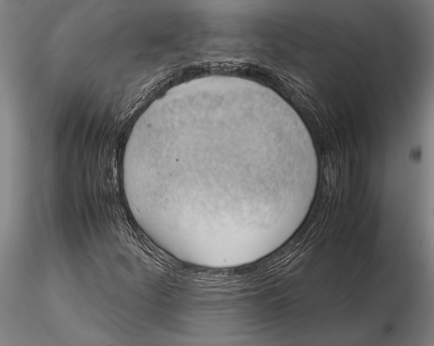 X0000116061252200912111519