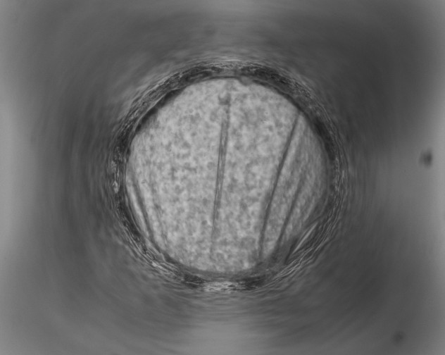 X0000116061253200912111519