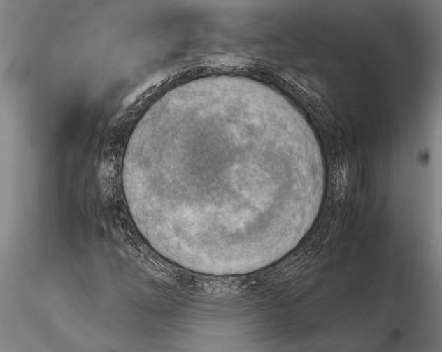 X0000116061254200912111519