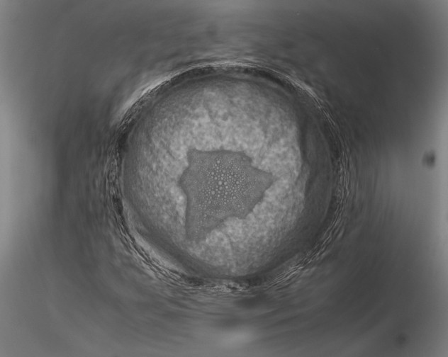 X0000116061255200912111519