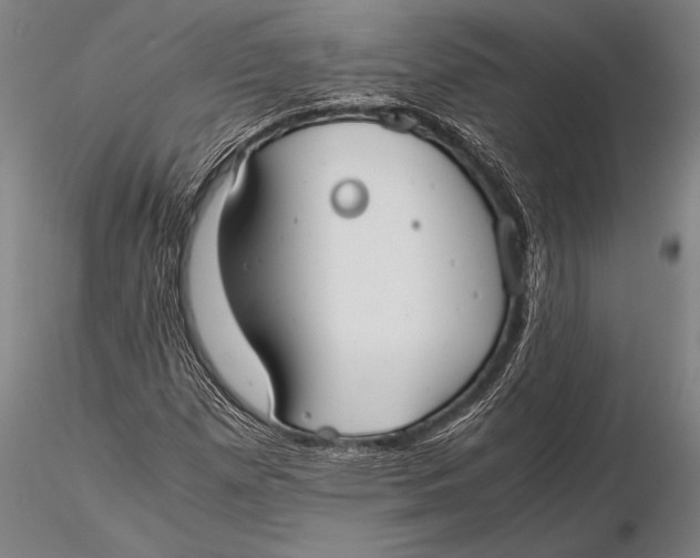 X0000116061257200912111519