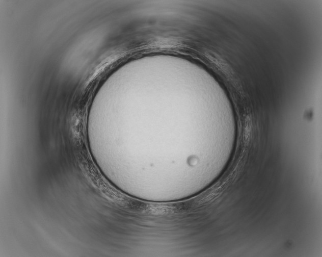 X0000116061258200912111519