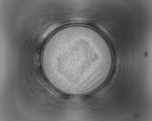 X0000116061259200912111519