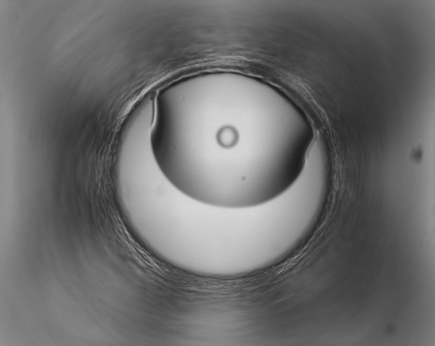 X0000116061260200912111519