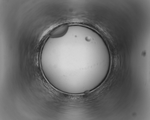 X0000116061262200912111519