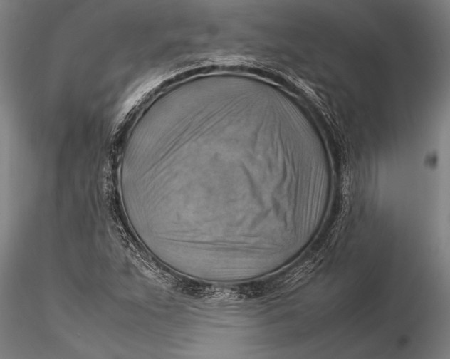 X0000116061263200912111519