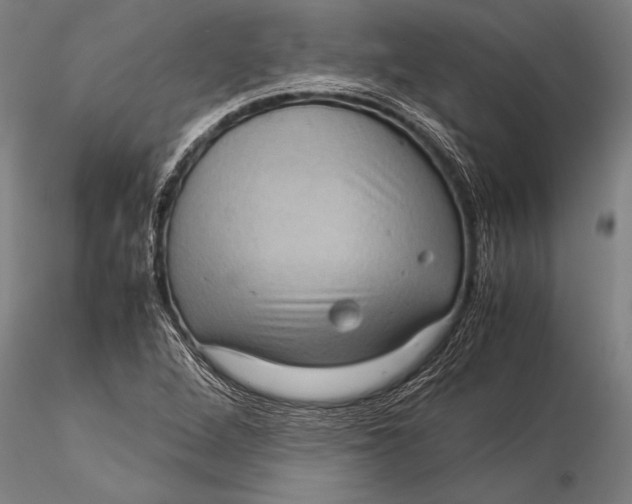 X0000116061264200912111519