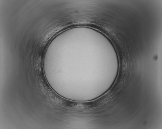 X0000116061265200912111519