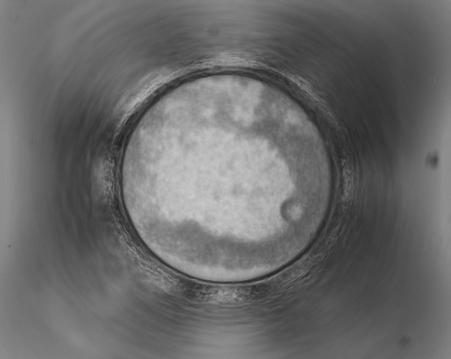 X0000116061266200912111519