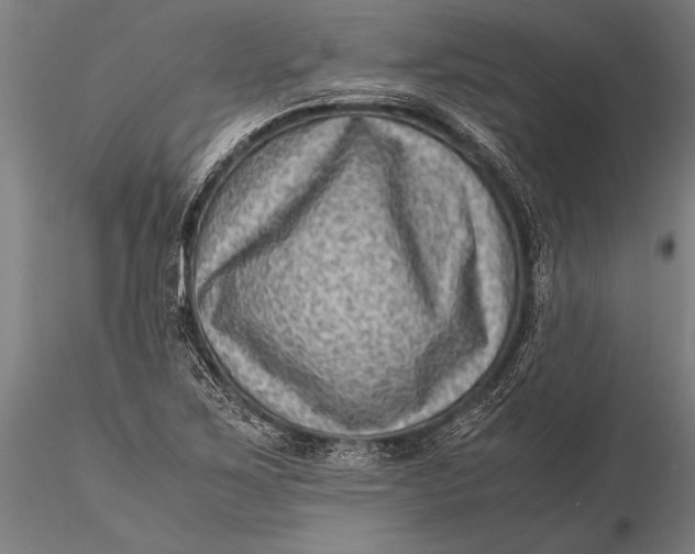 X0000116061267200912111519