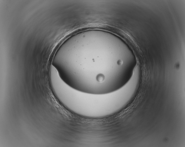 X0000116061268200912111519