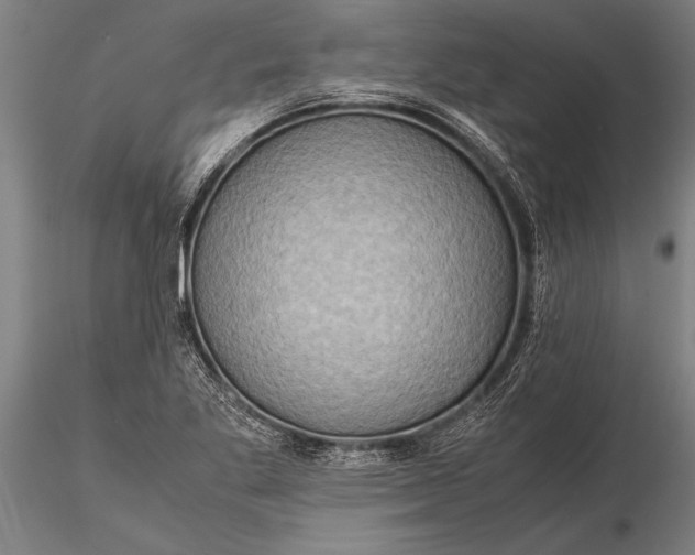 X0000116061269200912111519