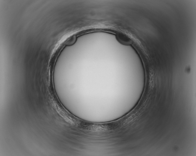 X0000116061270200912111519