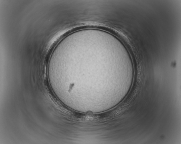 X0000116061271200912111519