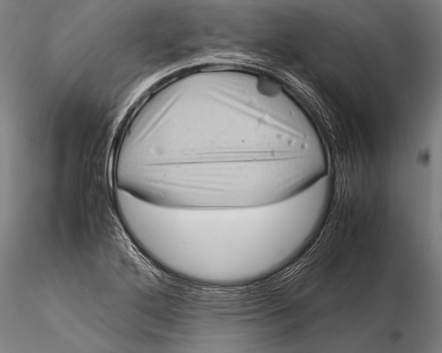 X0000116061272200912111519