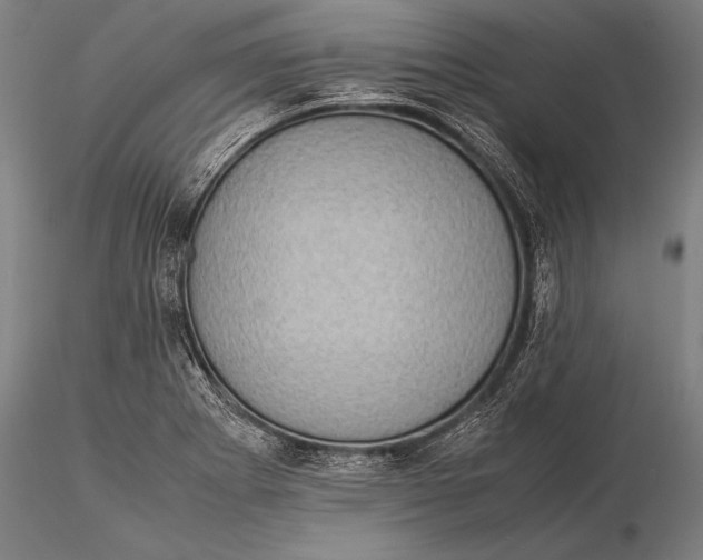 X0000116061273200912111519