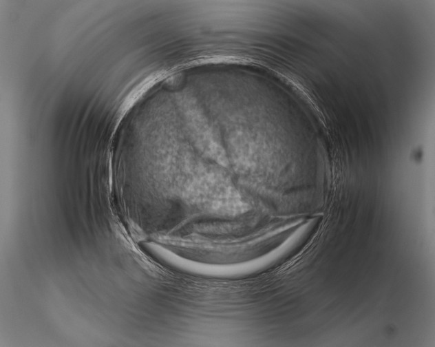 X0000116061274200912111519