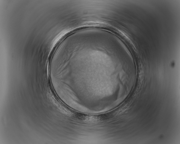 X0000116061275200912111519