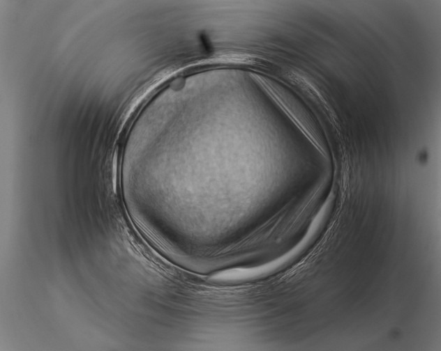 X0000116061276200912111519