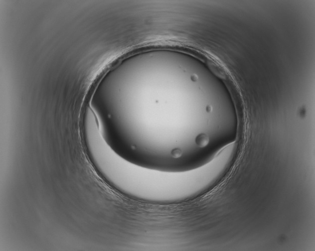 X0000116061277200912111519