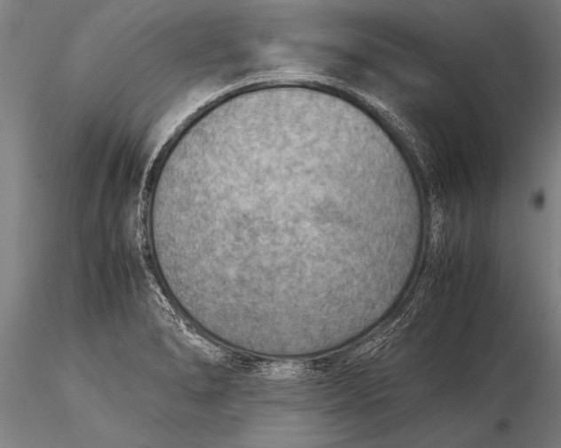 X0000116061278200912111519