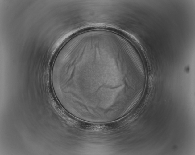 X0000116061279200912111519