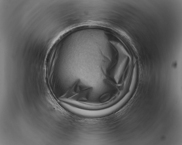 X0000116061280200912111519