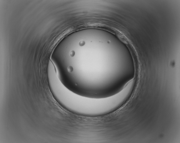 X0000116061281200912111519