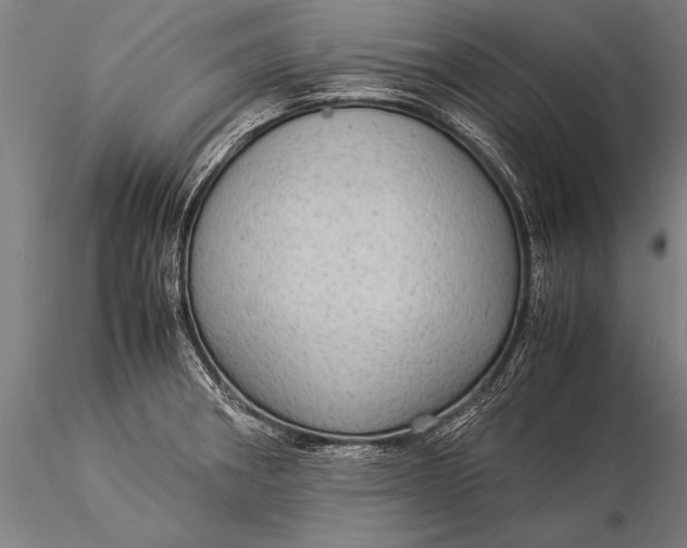 X0000116061282200912111519